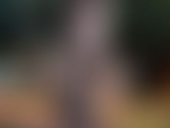 Vista do Monumento ao Cel. Francisco Schmidt, Praça Francisco Schmidt, Ribeirão Preto, São Paulo, Brasil