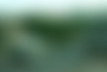 Trecho entre as avenidas Meira Júnior e Independência, Década de 80, Ribeirão Preto, São Paulo, Brasil