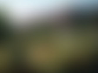 Fazenda em Minas Gerais, Brasil (Fazenda em Minas Gerais) - José Ricardo