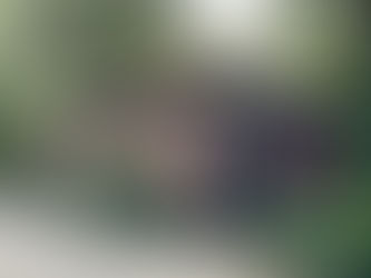 Sanitários, Parque Jardim da Luz, São Paulo, Brasil