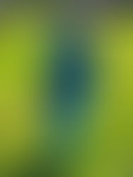 Escultura "Homem na Chuva", Parque do Povo Mário Pimenta Camargo, São Paulo, Brasil