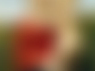 A Pequena Madona Cowper (Madonna and Child, The Small Cowper Madonna, La Piccola Madonna‚ Cowper) - Rafael Sanzio