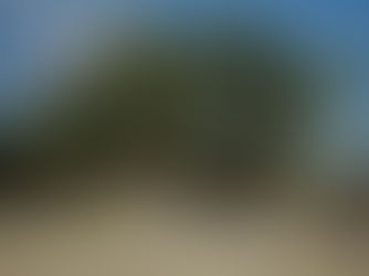 Fazenda Gado Bravo, Estado do Piauí, Brasil (Fazenda Gado Bravo) - Renato de Noronha Fernandes