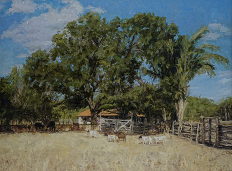 Fazenda Gado Bravo, Estado do Piauí, Brasil (Fazenda Gado Bravo) - Renato de Noronha Fernandes