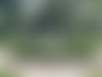 Chafariz, Parque Jardim da Luz, São Paulo, Brasil