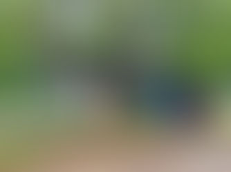 "Barraca de frente para o futuro", Jardinópolis, São Paulo, Brasil