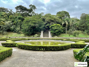 Jardim de Lineu, Jardim Botânico de São Paulo, Brasil