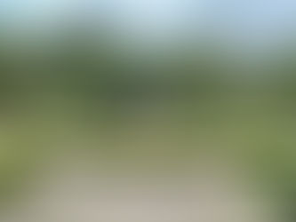 Jardim de Lineu, Jardim Botânico de São Paulo, Brasil