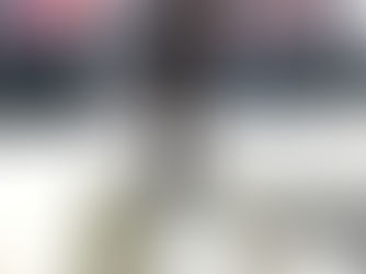 Monumento a Barcímio Sicupira Júnior, Curitiba, Paraná, Brasil