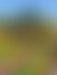 Alameda Olhos d'Água, Jardim Olhos d'Água, Bonfim Paulista, Ribeirão Preto, São Paulo, Brasil