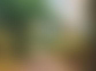 Estrada das Pacas, João Monlevade, Minas Gerais, Brasil (Estrada das Pacas) - José Ricardo