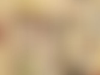 O Amigo da Onça 25 - Péricles