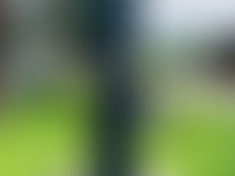 Monumento ao Dr. Arthur Costacurta, Praça da Saudade, Jardinópolis, São Paulo, Brasil