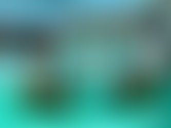 Decoração de Páscoa, Ribeirão Shopping, Ribeirão Preto, São Paulo, Brasil