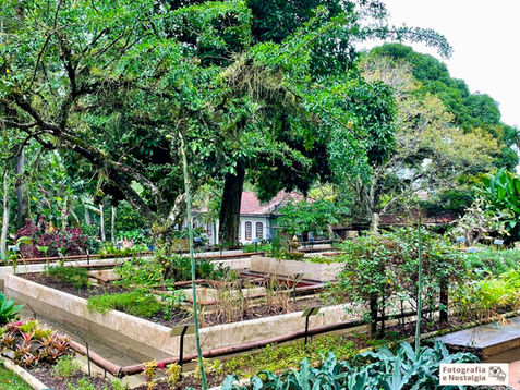 Jardim Sensorial, Jardim Botânico, Rio de Janeiro, Brasil
