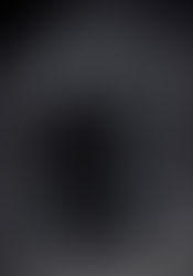 Antônio e Helena Zerrenner - Artigo