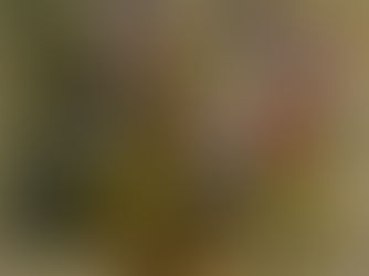 Vaso com flores (Vaso com flores) - Georgina de Albuquerque