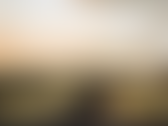 Vista de Viena do alto do Belvedere, Viena, Áustria (Wien vom Belvedere aus Gesehen) - Bernardo Belotto