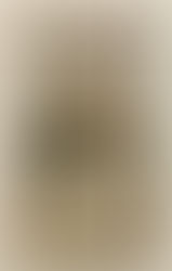 A Pintura (A Pintura) - José Ferraz de Almeida Júnior