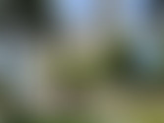 Imagens da Praça Attílio de Almeida Barbosa / Praça da Matriz, Campo Largo, Paraná, Brasil