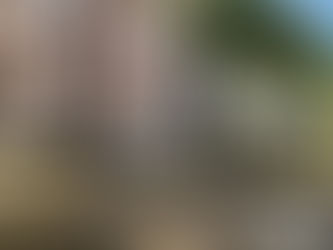 Missa da Turma XXV de Medicina do Centro Universitário Barão de Mauá, Catedral Metropolitana de São Sebastião, Ribeirão Preto, São Paulo, Brasil