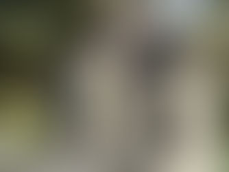 Monumento Ingeniero Emilio Mitre, Plaza San Martín de Tours, Recoleta, Buenos Aires, Argentina