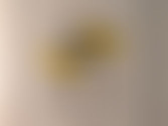 Estatutos Sociais do Caiçara Country Club, 1963, Ribeirão Preto, São Paulo, Brasil