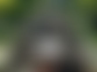 Monumento em homenagem aos brasileiros mortos em ação durante a 2º Guerra Mundial 1942-1945, Praça Carlos Gardel, Paraíso, São Paulo, Brasil