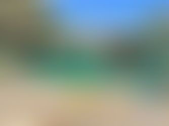 Imagens diversas do Parque do Ibirapuera, São Paulo, Brasil