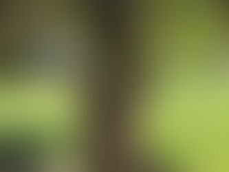 Vaso Bacanal / Ecoparque / Antigo Jardim Zoológico de Buenos Aires, Argentina