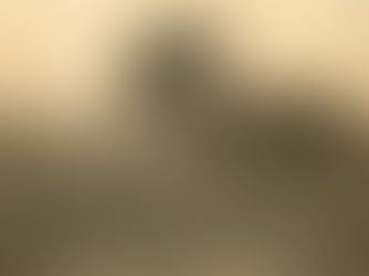 Avenida Dom Pedro I, Circa 1928, Ipiranga, Ribeirão Preto, São Paulo, Brasil