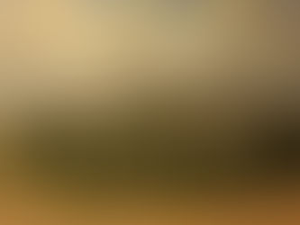 Toscana 2, Itália (Toscana) - Cândido Oliveira