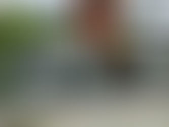 Imagens da Casa da Memória e Cemitério do Imigrante, Joinville, Santa Catarina, Brasil