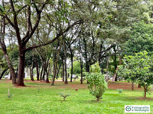 Imagens da Praça José Tincate, Conjunto Habitacional Lourenço Domenici, Sertãozinho, São Paulo, Brasil