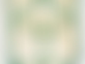 Flâmula "Palestra Itália Esporte Clube", Ribeirão Preto, São Paulo, Brasil