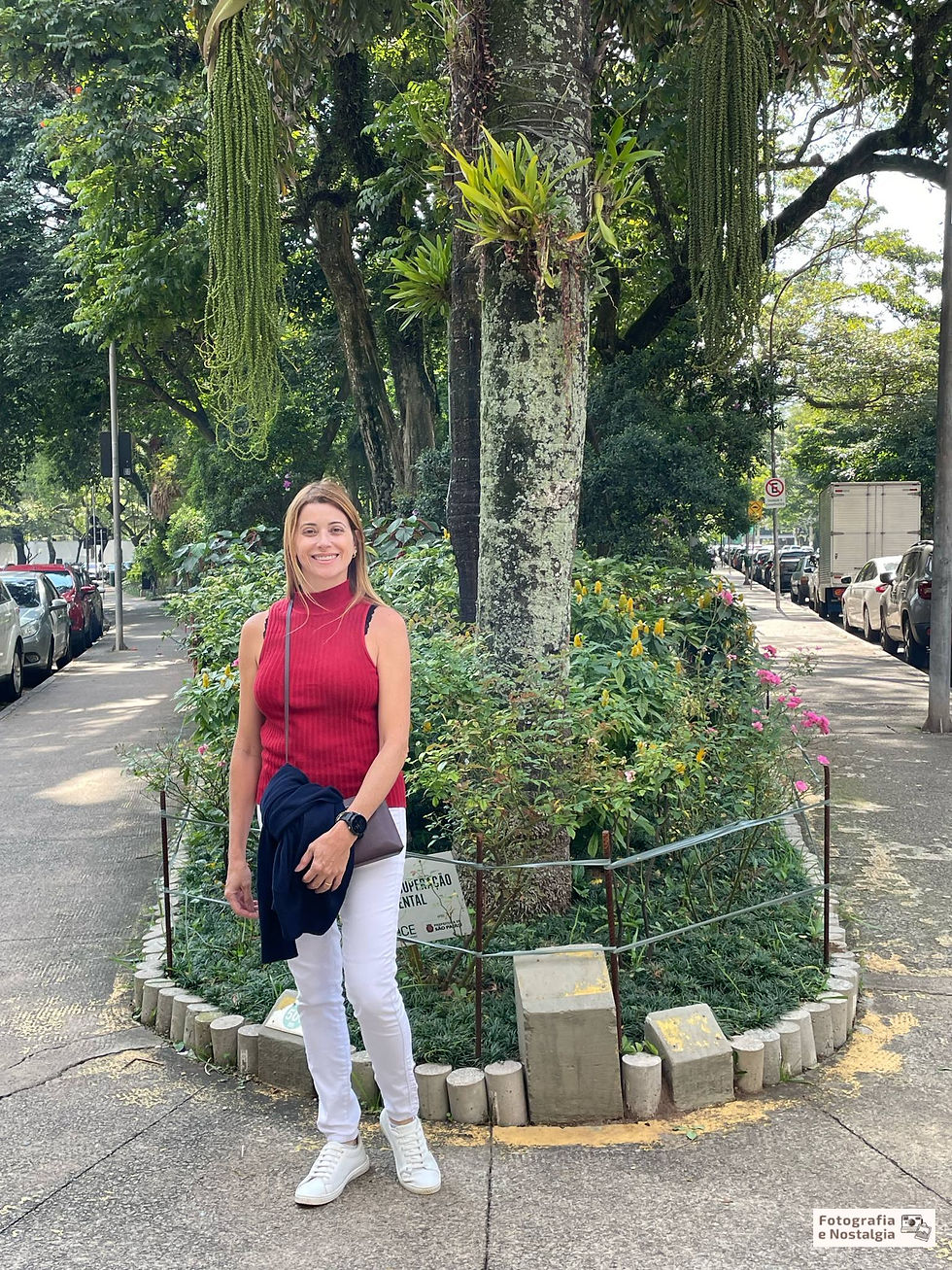 Praça Carlos Gardel, Paraíso, São Paulo, Brasil