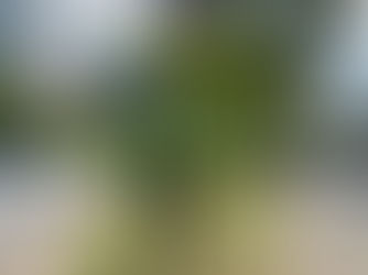 Praça Augusto Tortorelo de Araújo, Santo Amaro, São Paulo, Brasil