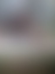 Propaganda "Você não precisa ir à Alemanha para comprar os melhores frios", 1965, Frigorífico Serrano, Ijuí, Rio Grande do Sul, Brasil