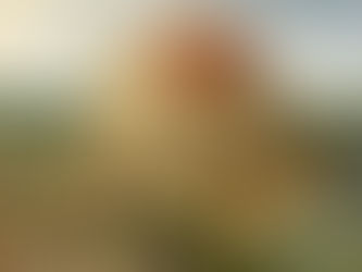 Torre de Babel (Turmbau zu Babel) - Pieter Bruegel