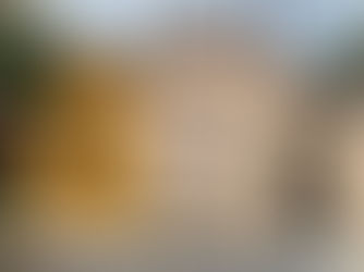 Imóveis antigos, Rua Heitor Chiarello, Jardim Irajá, Ribeirão Preto, São Paulo, Brasil