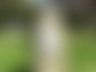 Monumento Cnel. Luis Argentino del Valle Larrabure, Plaza Mitre, Recoleta, Buenos Aires, Argentina