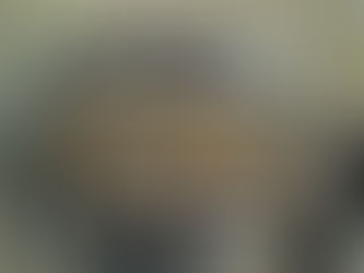 Volkswagen Fusca, Brasil (Volkswagen Fusca) - Raúl de la Rosa