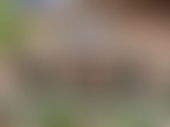 Homenaje a Daniel Tinayre, Plazoleta Tte. Gral. Eduardo Racedo, Palermo, Buenos Aires, Argentina