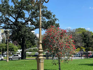 Antigos postes de iluminação, Plaza Dante, Recoleta, Buenos Aires, Argentina