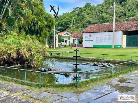 Lago das Tartarugas, Jardim Botânico, Rio de Janeiro, Brasil