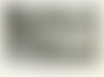 Visita de Washington Luís, Estação Ferroviária de Ribeirão Preto, São Paulo, Brasil