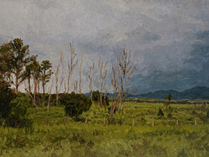 Troncos secos no vale verde (Troncos secos no vale verde) - Renato de Noronha Fernandes