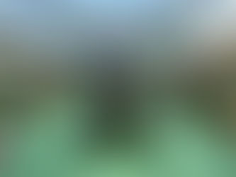 Exposição "Dino's Alive e Dragões", Ribeirão Shopping, Ribeirão Preto, São Paulo, Brasil