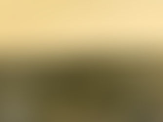 Vista do Centro, Década de 10, Ribeirão Preto, São Paulo, Brasil