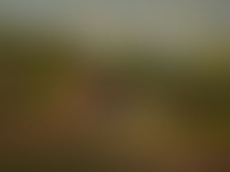 Fazenda do Achiles, Águas de Lindóia, São Paulo, Brasil (Fazenda do Achiles) - Paulo Sangiuliano